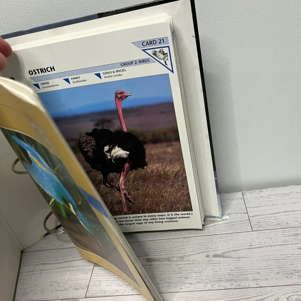 1992 Wildlife Fact-File Binder & Cards Group 2 Birds INCOMPLETE  Home School